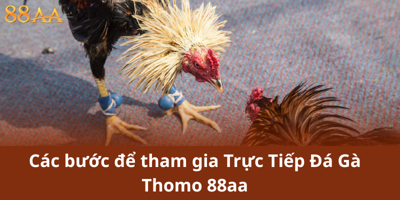 Các bước để tham gia Trực Tiếp Đá Gà Thomo 88aa – Hướng dẫn chi tiết